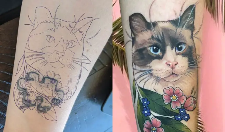 Cat cover-up tattoo