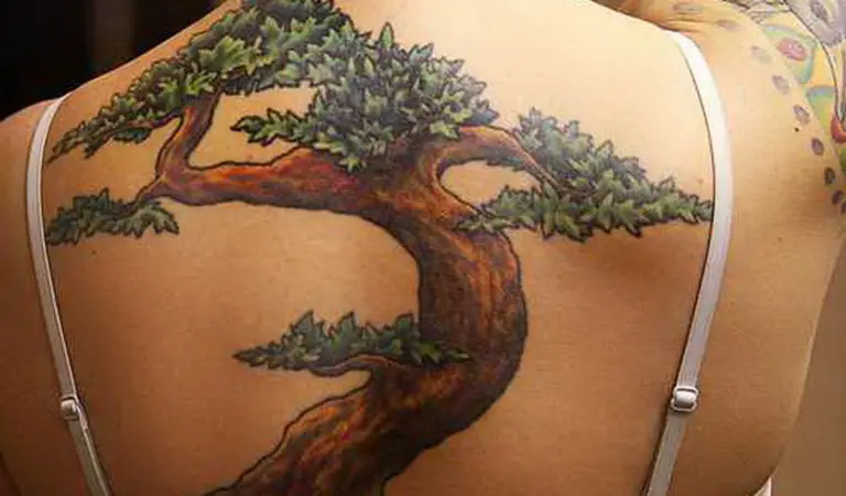 Blossoming Bonsai Tree Tattoos