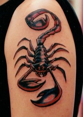 Scorpion Tattoos - TOP 150 Ranked -for Every Taste and Style, Pick Yours! Badass