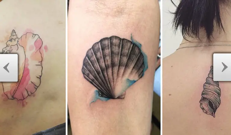 29 Beautiful Seashell Tattoos You’ll Love