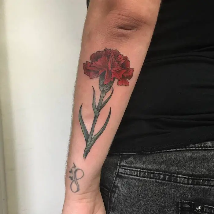 Carnation Tattoo Design
